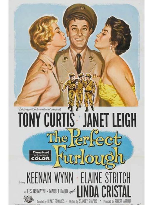 完美的假期(The Perfect Furlough)