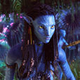 neytiri neytiri