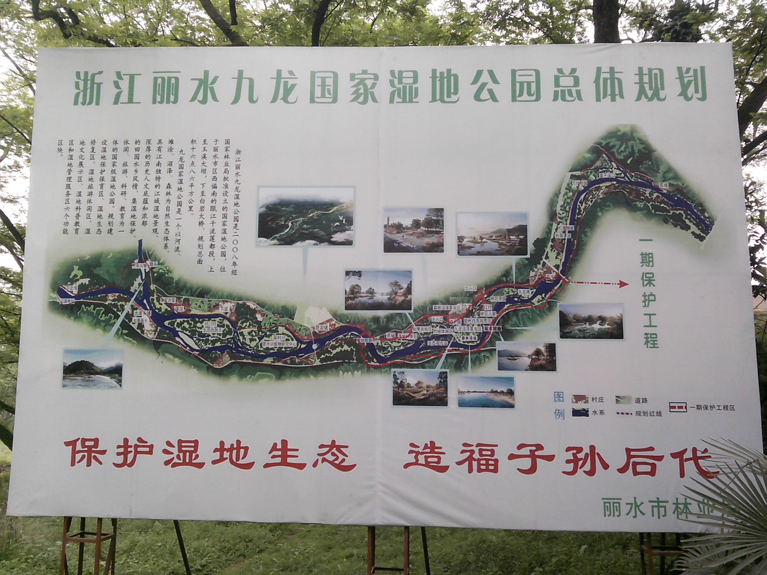麗水九龍國家濕地公園