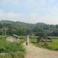 界嶺村(雲南省德宏州梁河縣勐養鎮下轄村) 界嶺村(雲南省德宏州梁河縣勐養鎮下轄村)