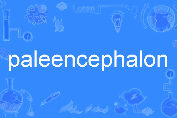 paleencephalon paleencephalon