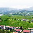 龍家坊村(湖北省黃岡市英山縣草盤地鎮龍家坊村) 龍家坊村(湖北省黃岡市英山縣草盤地鎮龍家坊村)