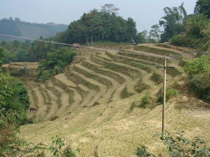 瑤人寨村 瑤人寨村