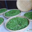 田橫茶場 田橫茶場