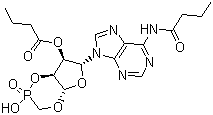 二丁醯環磷腺苷