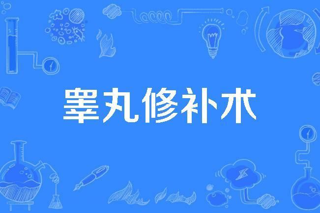 睪丸修補術 睪丸修補術