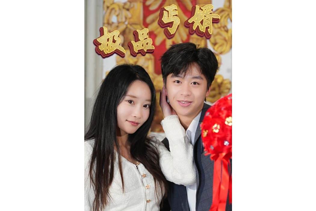極品丐婿 極品丐婿