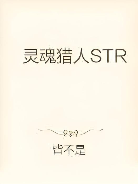 靈魂獵人STR 靈魂獵人STR