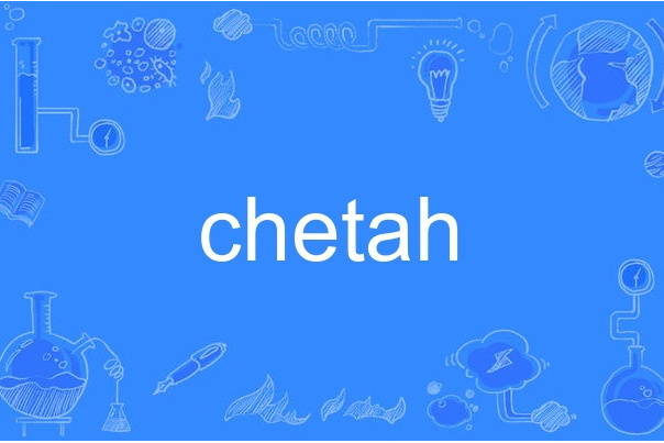 chetah chetah