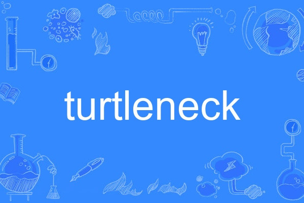 turtleneck turtleneck