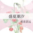 盛夏潮汐 盛夏潮汐