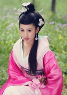 母儀天下(2008年黃健中執導電視劇)