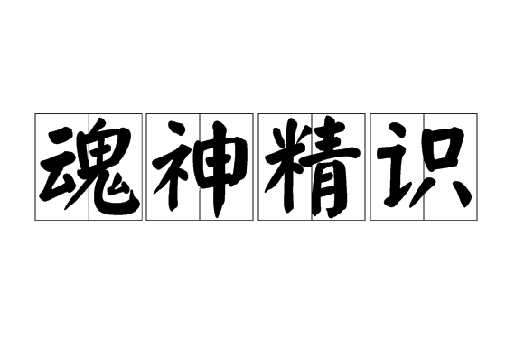 魂神精識 魂神精識