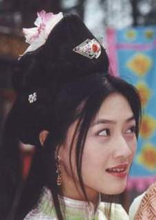 銀鼠(2002年王偉仁執導的電視劇)
