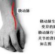 反關脈 反關脈