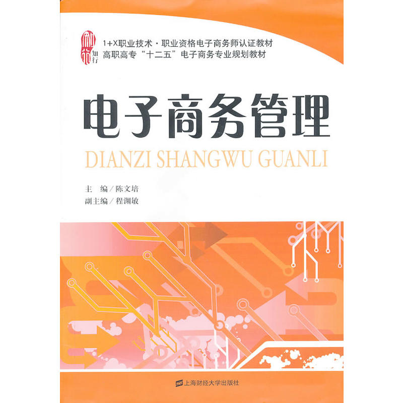 電子商務管理(2013年上海財經大學出版社出版書籍)