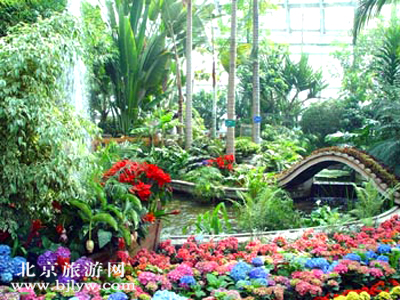 北京植物園（南園）