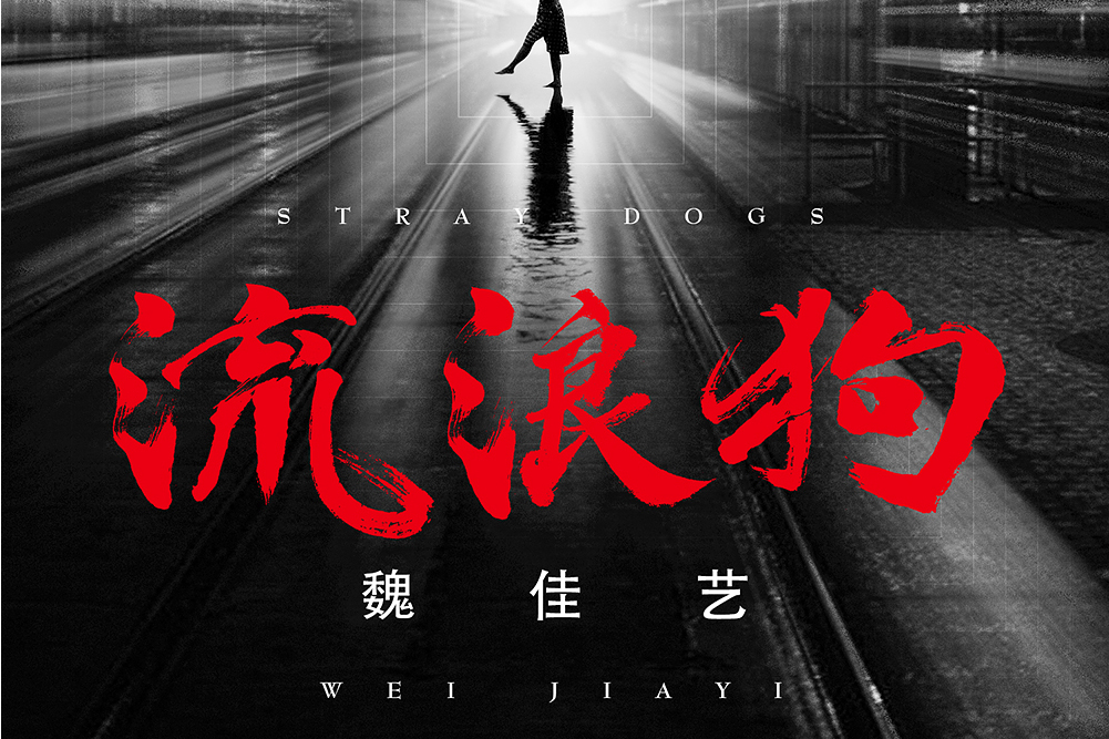流浪狗(魏佳藝演唱歌曲) 流浪狗(魏佳藝演唱歌曲)
