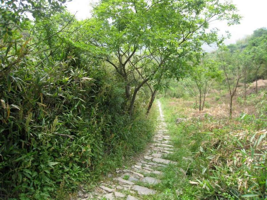石步階古道 石步階古道