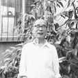 李喬(彝族作家) 李喬(彝族作家)
