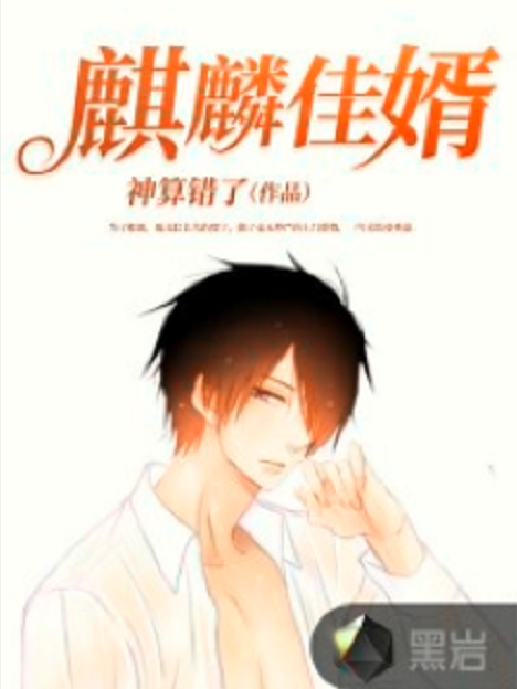 麒麟佳婿 麒麟佳婿