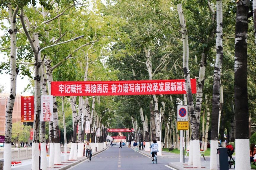 大中路(南開大學校內道路) 大中路(南開大學校內道路)