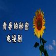 青春的秘密 青春的秘密