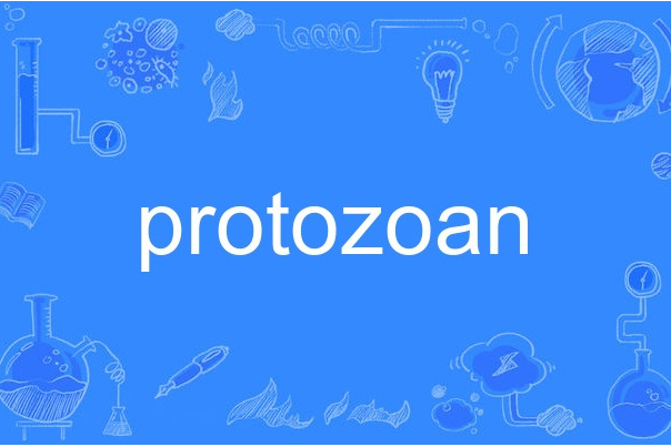 protozoan protozoan