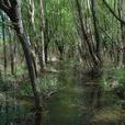 竹園村(雲南玉龍納西族自治縣石鼓鎮竹園村) 竹園村(雲南玉龍納西族自治縣石鼓鎮竹園村)