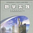 數學實踐 數學實踐