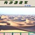 向沙漠進軍 向沙漠進軍