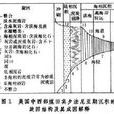 含煤岩系 含煤岩系