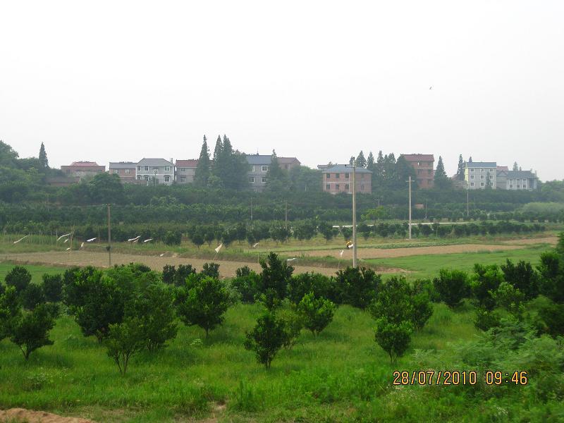 坎高村 坎高村