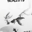 夜風2019 夜風2019