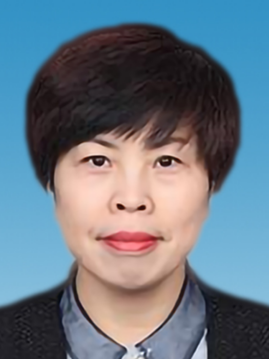 陳思靜(陝西省西安市碑林區政府黨組成員、副區長) 陳思靜(陝西省西安市碑林區政府黨組成員、副區長)