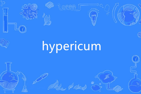 hypericum hypericum