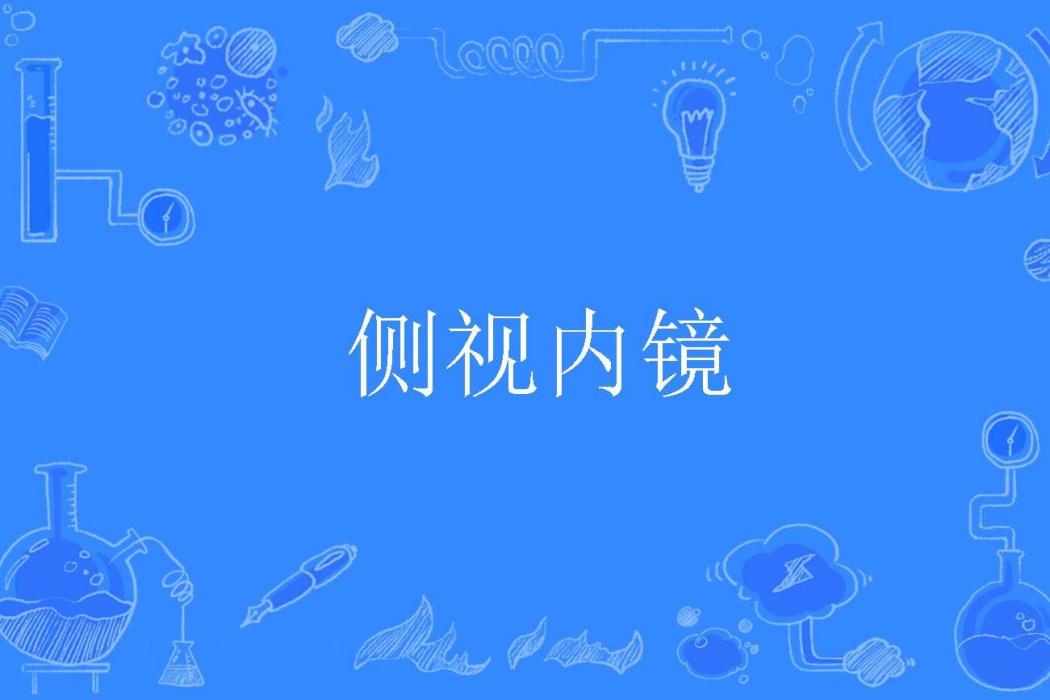 側視內鏡 側視內鏡