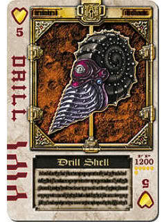 Drill Shell