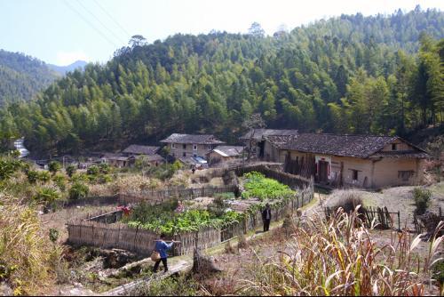 上老街村 上老街村
