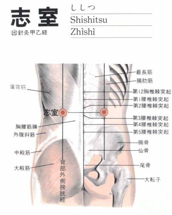 志室穴(志室) 志室穴(志室)