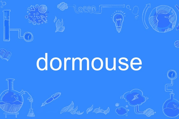 dormouse dormouse