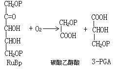 碳酸乙醇酸