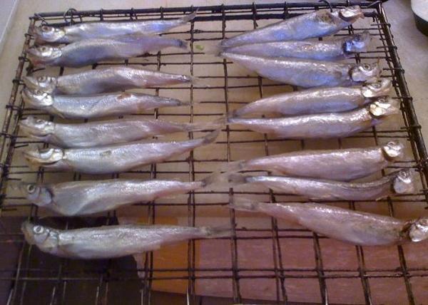 鹹寧春魚 鹹寧春魚