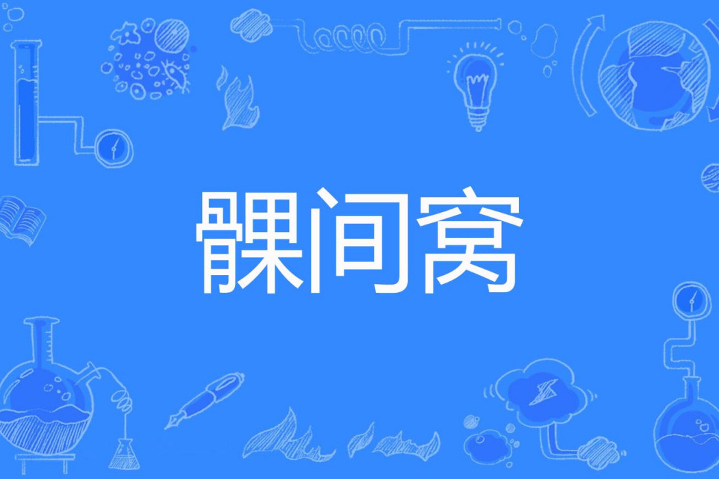 髁間窩 髁間窩