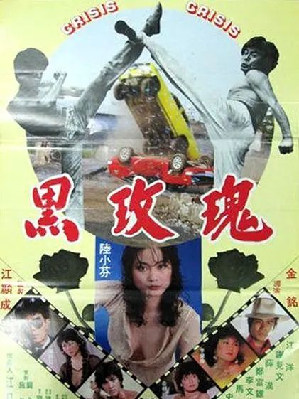 黑玫瑰(1983年陸小芬主演的電影) 黑玫瑰(1983年陸小芬主演的電影)