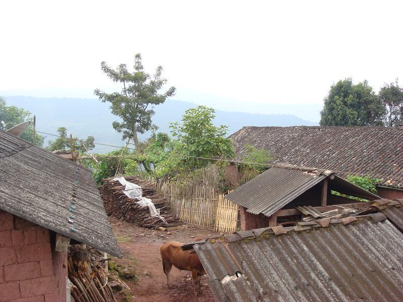 罵尼村 罵尼村