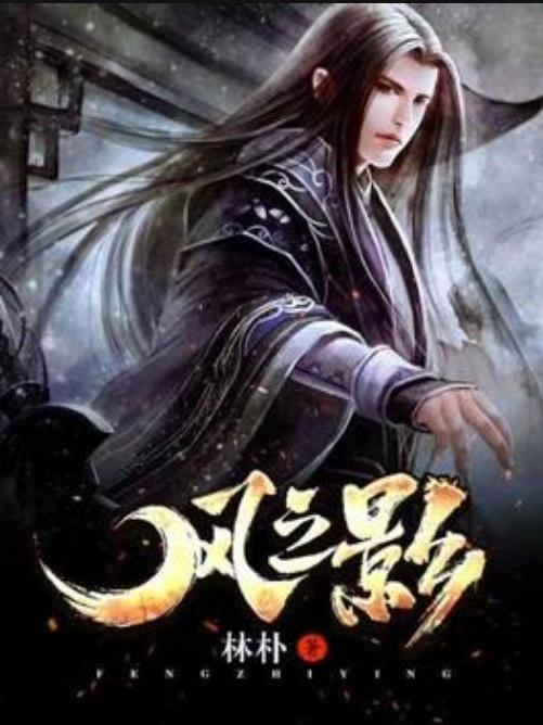 風之影(林_朴創作的歷史小說)