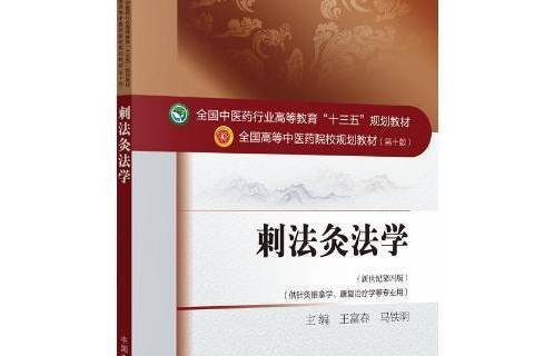 刺法灸法學(2018年中國中醫藥出版社出版的圖書) 刺法灸法學(2018年中國中醫藥出版社出版的圖書)