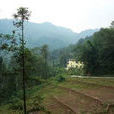 兩河鄉(河北平山縣兩河鄉) 兩河鄉(河北平山縣兩河鄉)