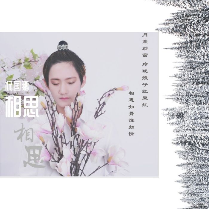 相思(楊國鵬個人音樂專輯) 相思(楊國鵬個人音樂專輯)